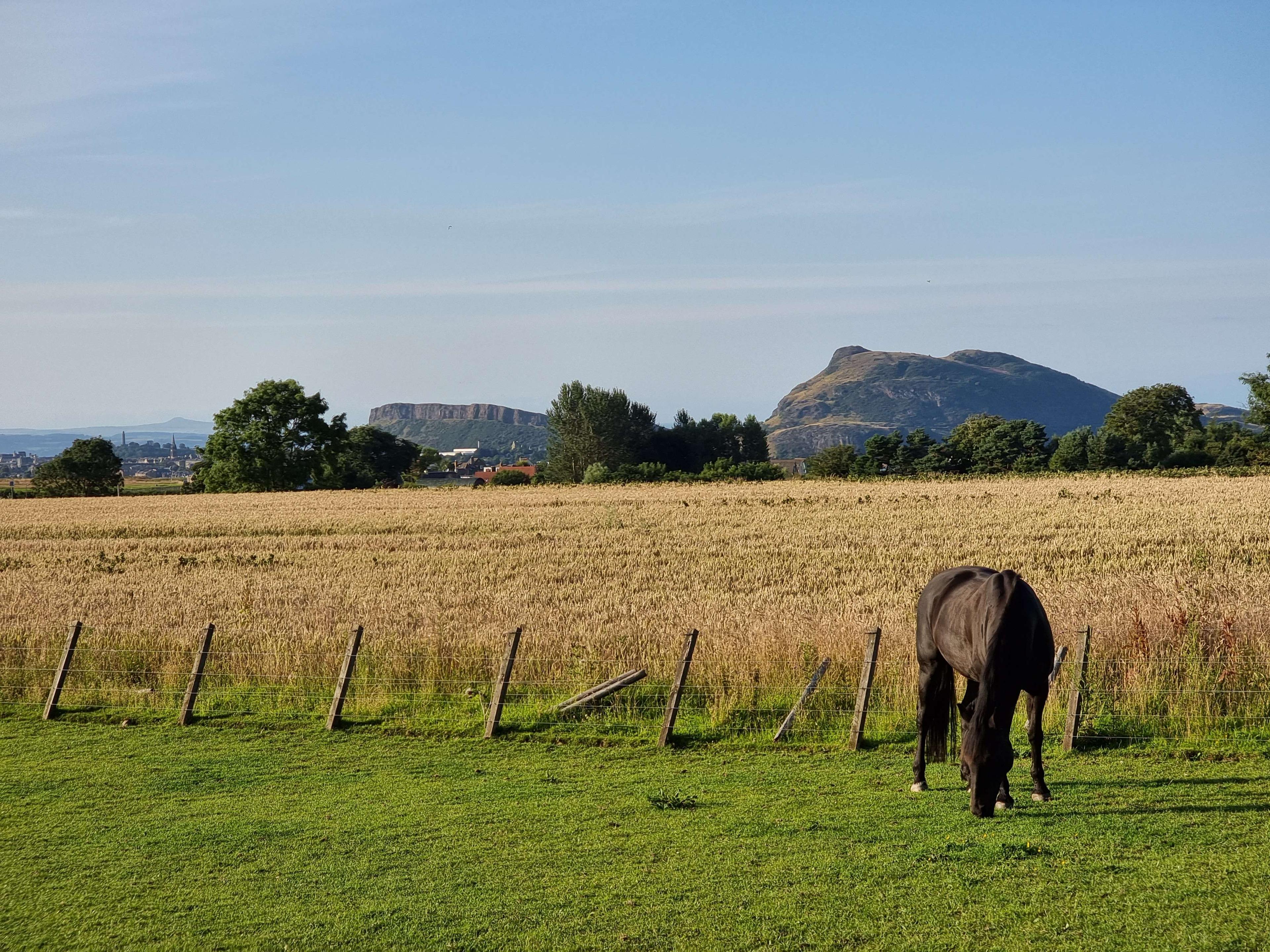 Distant image of Arthur Seat.